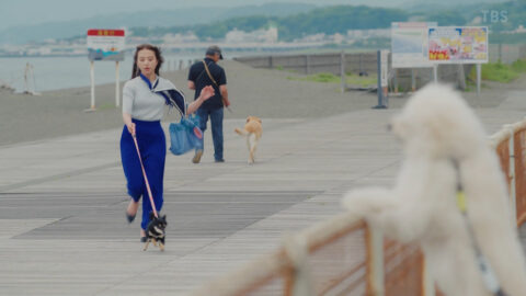 清原果耶_初恋DOGs 第1話_20250701_008