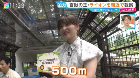 浦野芽良_ひるおび_20250709_008