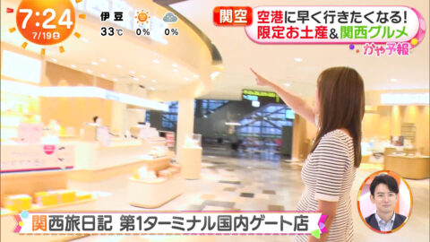 阿部華也子_めざましどようび_20250719_046
