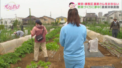 宮﨑あずさ_ひむバス!_20250724_022