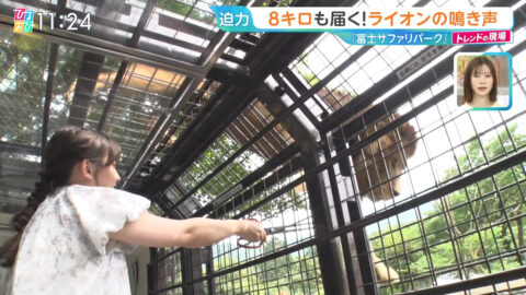 浦野芽良_ひるおび_20250709_020