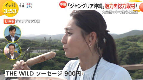 宮本真綾_Live News イット!_20250725_030
