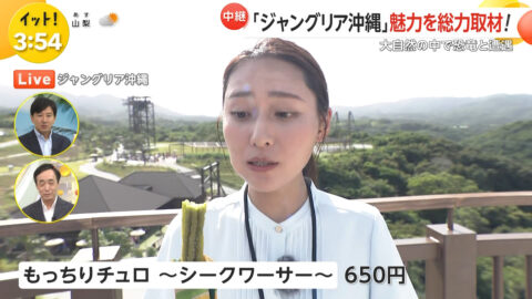 宮本真綾_Live News イット!_20250725_043