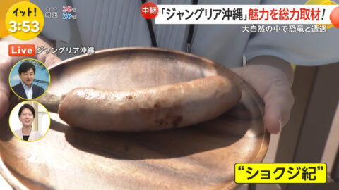 宮本真綾_Live News イット!_20250725_013