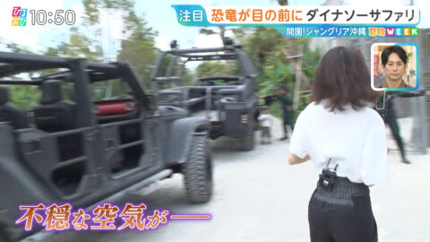 若林有子_ひるおび_20250725_013