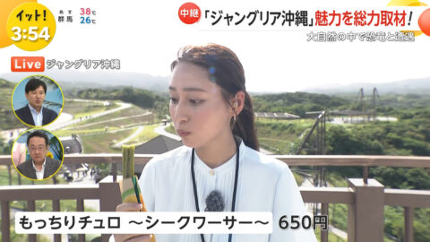 宮本真綾_Live News イット!_20250725_042