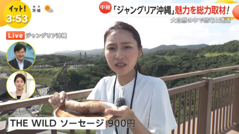 宮本真綾_Live News イット!_20250725_033