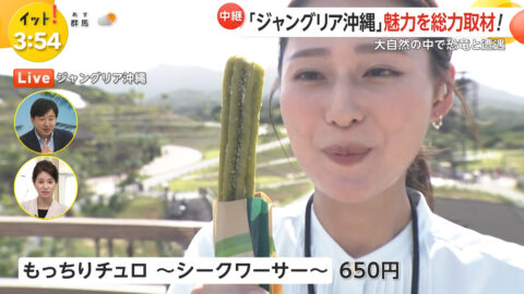 宮本真綾_Live News イット!_20250725_036