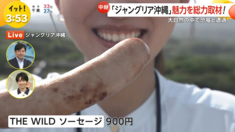 宮本真綾_Live News イット!_20250725_014