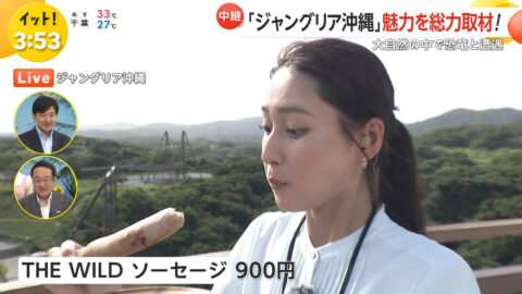 宮本真綾_Live News イット!_20250725_031