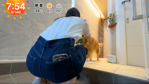 一般_めざましテレビ_20240814_008