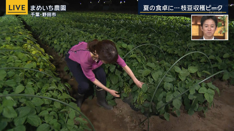 眞家泉_報道ステーション_20240614_010