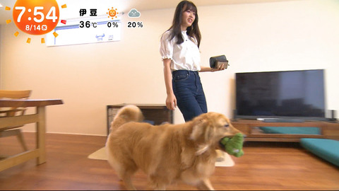 一般_めざましテレビ_20240814_017
