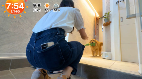一般_めざましテレビ_20240814_006