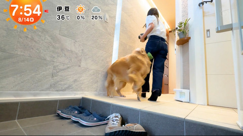 一般_めざましテレビ_20240814_016
