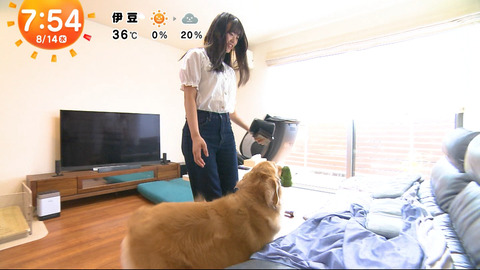 一般_めざましテレビ_20240814_018