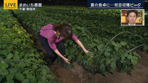 眞家泉_報道ステーション_20240614_011