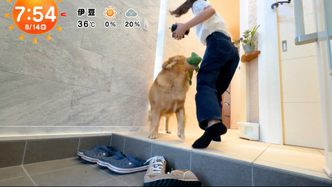 一般_めざましテレビ_20240814_015