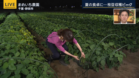 眞家泉_報道ステーション_20240614_008