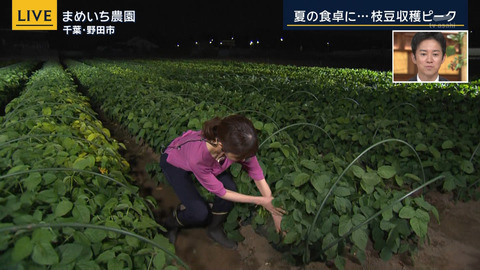 眞家泉_報道ステーション_20240614_006